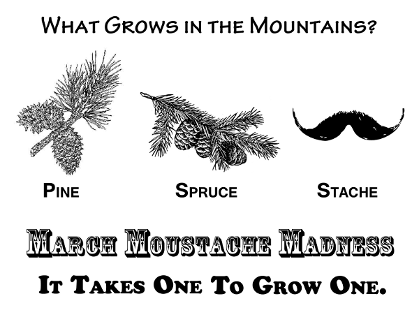 What Grows in the Mountains? Pine-Spruce-Stache